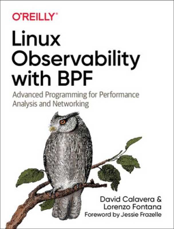 Linux Observability with BPF： Advanced Programming for Performance Analysis and Networking（David Calavera， Lorenzo Fontana）（O’Reilly Media 2019）