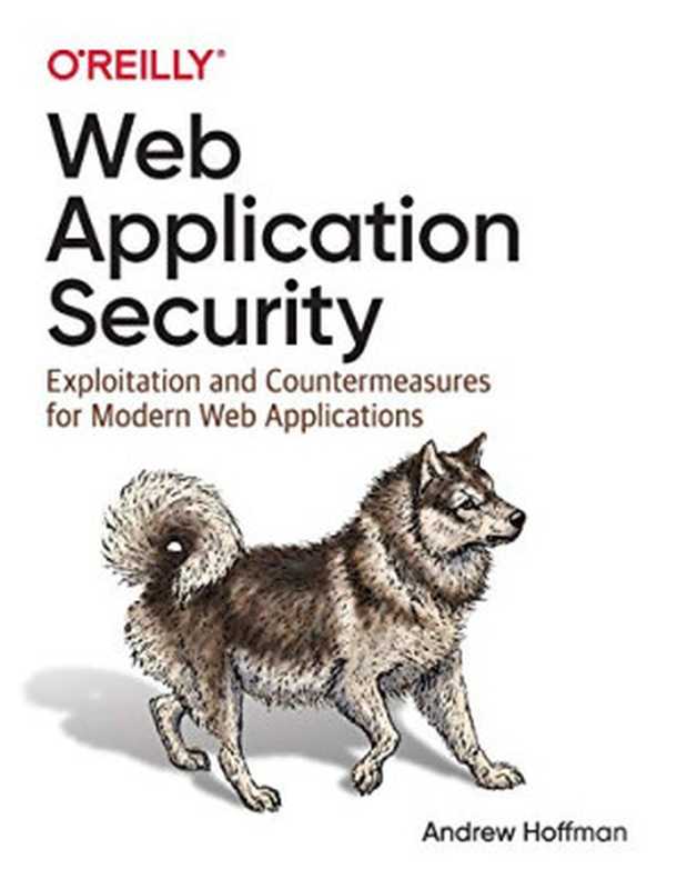 Web Application Security（Andrew Hoffman）（O