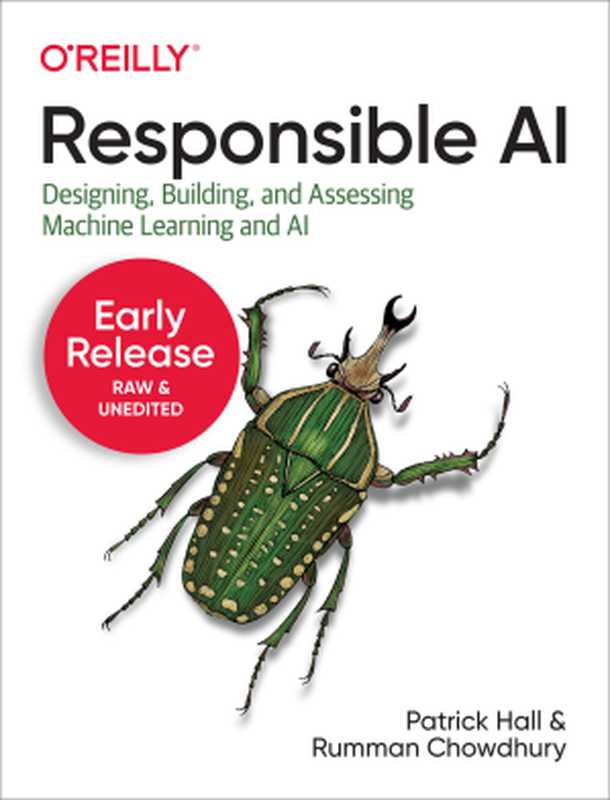 Responsible AI（Patrick Hall; Rumman Chowdhury）（O