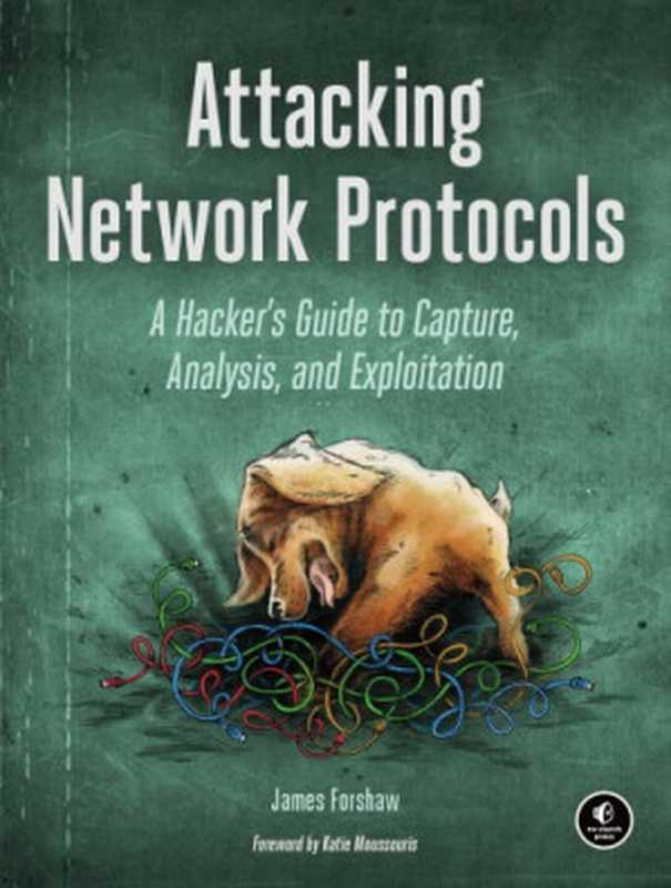 Attacking Network Protocols： A Hacker’s Guide to Capture， Analysis， and Exploitation（James Forshaw）（No Starch Press 2017）