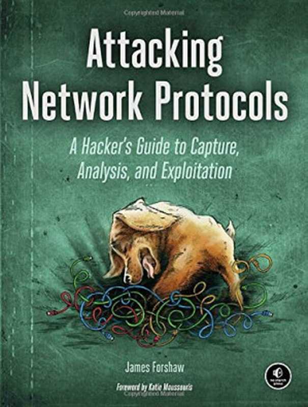 Attacking Network Protocols： A Hacker’s Guide to Capture， Analysis， and Exploitation（James Forshaw）（No Starch Press 2017）