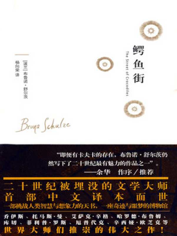 鳄鱼街（布鲁诺·舒尔茨）（新星出版社 2009）