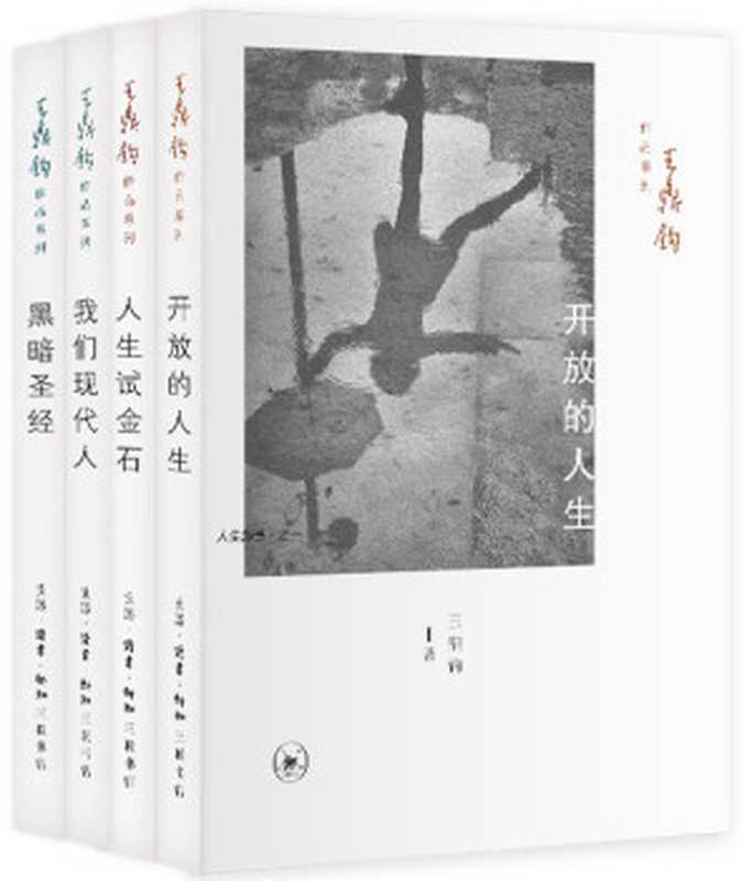 王鼎钧人生四书：开放的人生+人生试金石+我们现代人+黑暗圣经(套装共4册)（王鼎钧）（2014）