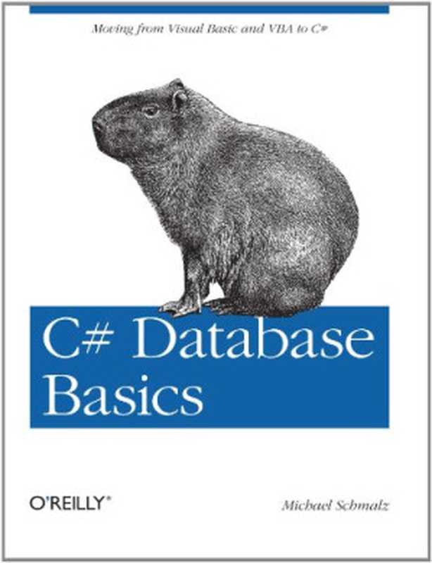 C# Database Basics（Michael Schmalz）（O