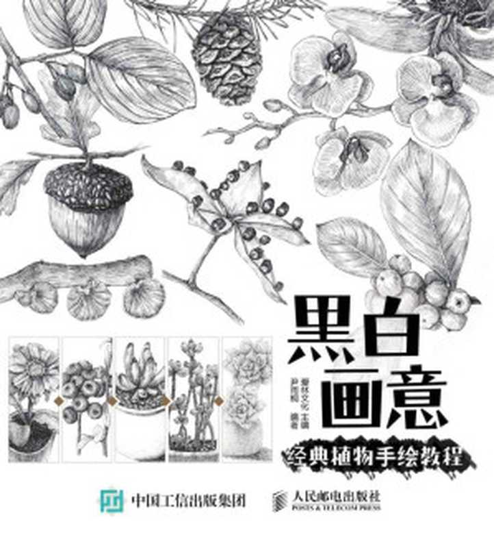 黑白画意——经典植物手绘教程（爱林文化）（人民邮电出版社 2015）