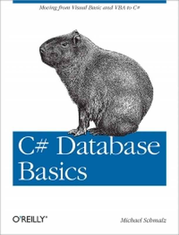 C# Database Basics： Moving from Visual Basic and VBA to C#（Michael Schmalz）（O