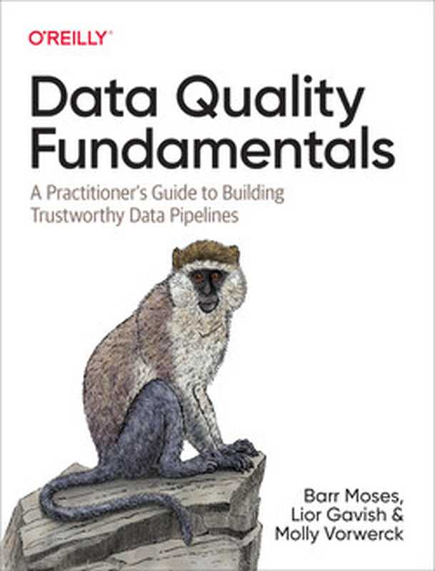 Data Quality Fundamentals： A Practitioner