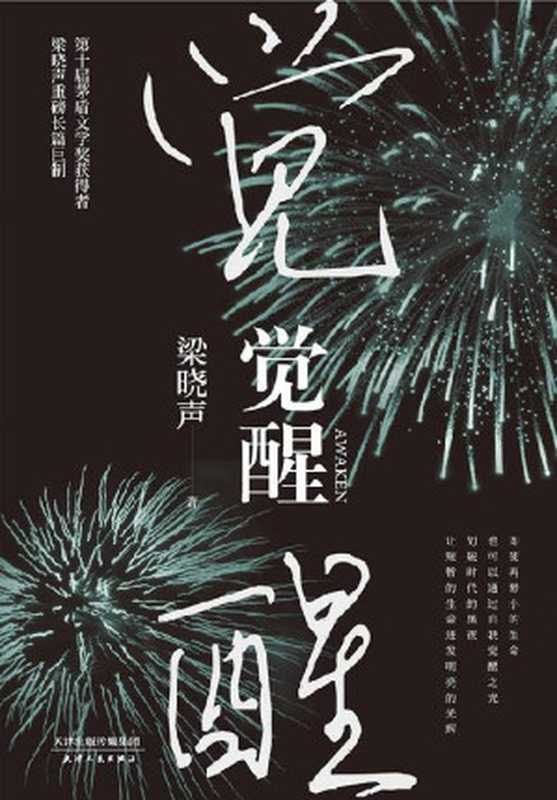 觉醒（2020年精装版） (第十届茅盾文学奖获得者梁晓声重磅长篇巨制。即使再渺小的生命，也可以通过自我觉醒之光，划破时代的黑夜，让短暂的生命迸发明亮的光辉。一部深具社会思考和哲学意味的小说佳作。)（梁晓声 [梁晓声]）（天津人民出版社 2020）