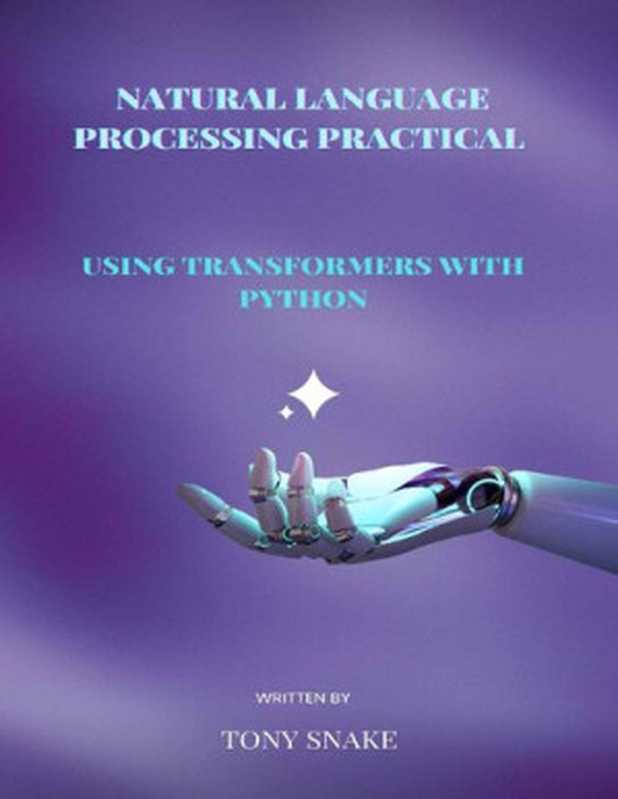 Natural Language Processing Practical using Transformers with Python（Tony Snake）（Independently published 2022）