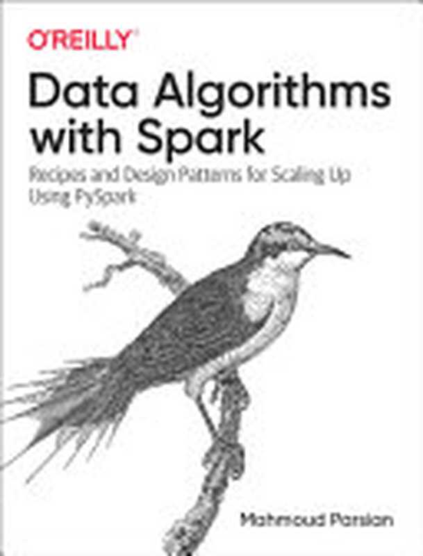 Data Algorithms with Spark（Mahmoud Parsian）（O