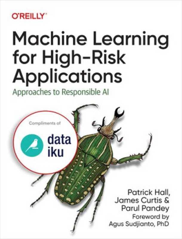 Machine Learning for High-Risk Applications（Patrick Hall， James Curtis， Parul Pandey）（O