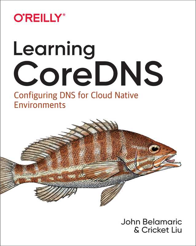 Learning CoreDNS： Configuring DNS for Cloud Native Environments（John Belamaric， Cricket Liu）（O