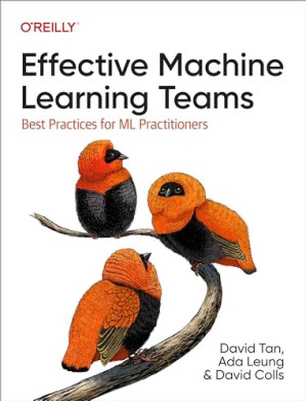 Effective Machine Learning Teams： Best Practices for Ml Practitioners（David Tan， Ada Leung， David Colls）（O