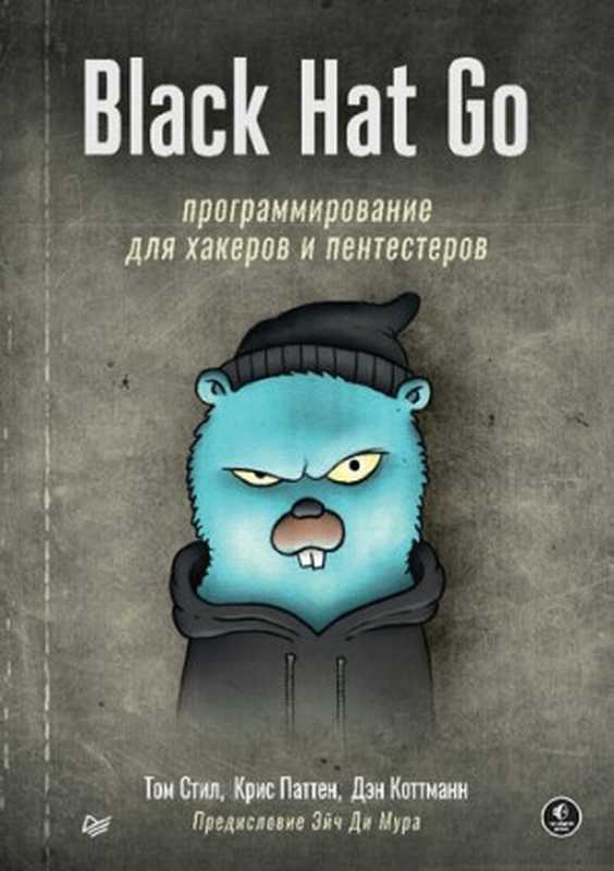 Black Hat Go： Программирование для хакеров и пентестеров（Том Стил， Крис Паттен， Дэн Коттманн）（Питер 2022）