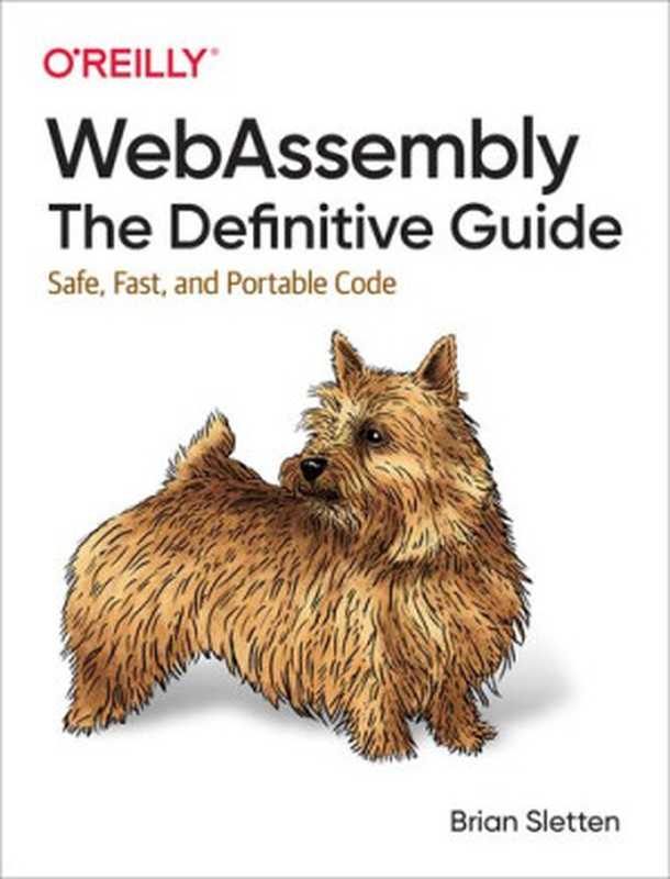 WebAssembly： The Definitive Guide： Safe， Fast， and Portable Code（Brian Sletten）（O