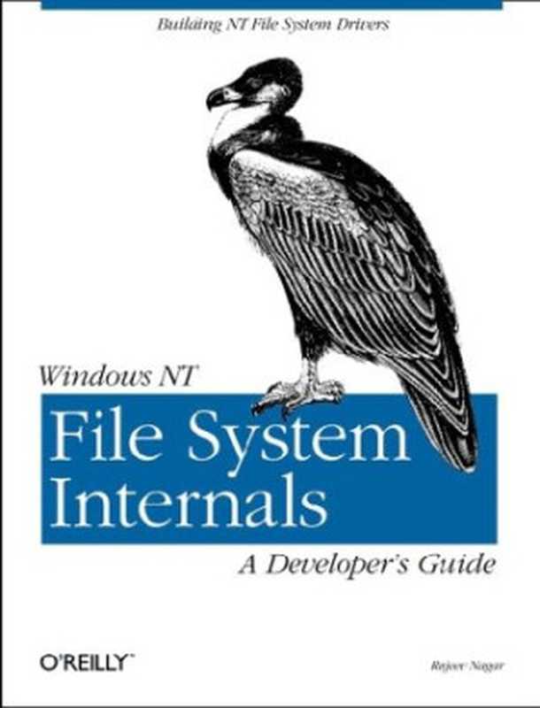 Windows NT File System Internals： A Developer