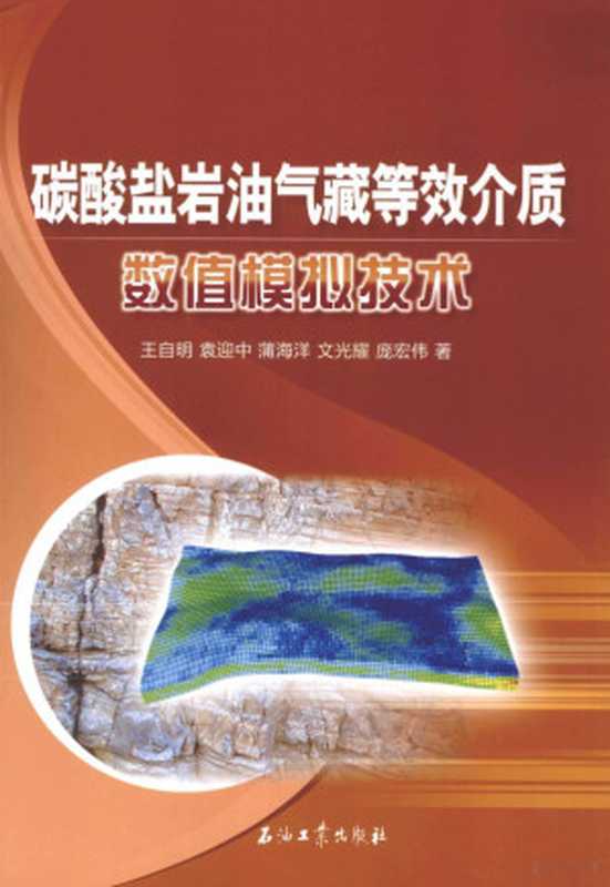 碳酸盐岩油气藏等效介质数值模拟技术（王自明，袁迎中，蒲海洋等著）（北京：石油工业出版社 2012）