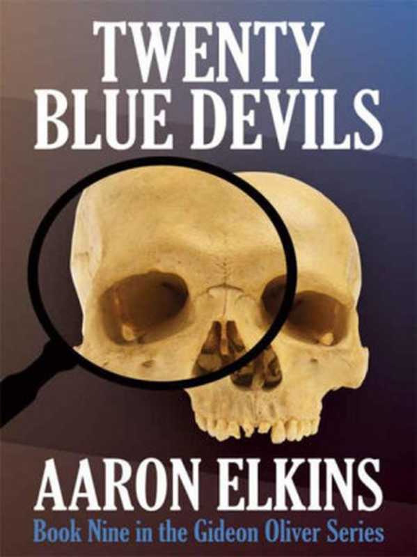 Twenty Blue Devils（Elkins Aaron）（E-Reads 2010）