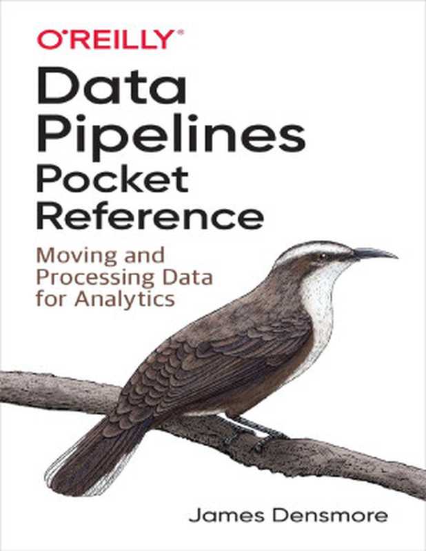 Data Pipelines Pocket Reference（James Densmore [James Densmore]）（O