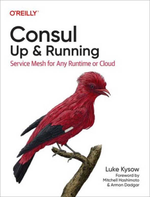 Consul： Up & Running（Luke Kysow）（O