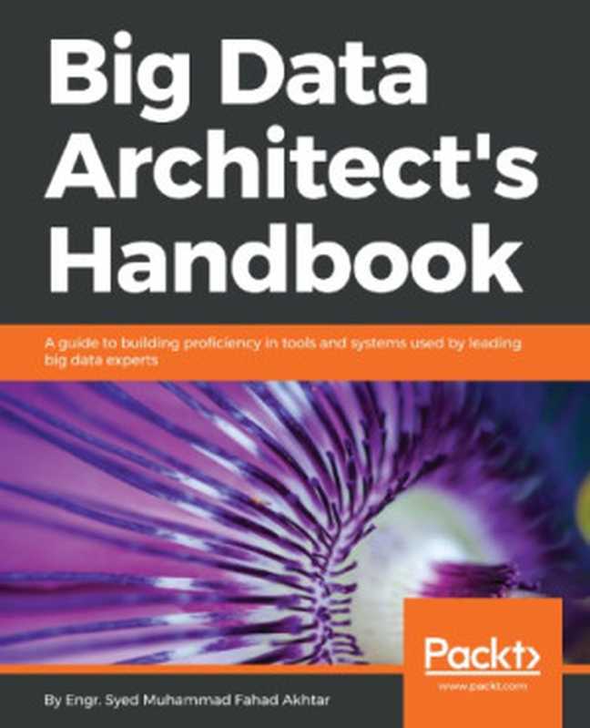 Big data architect