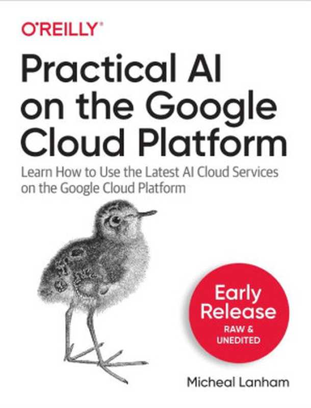 Practical AI on the Google Cloud Platform（Micheal Lanham）（O