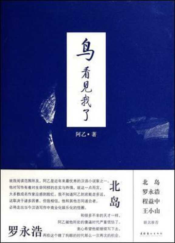 鸟，看见我了（阿乙 [未知]）（文化艺术出版社 2010）