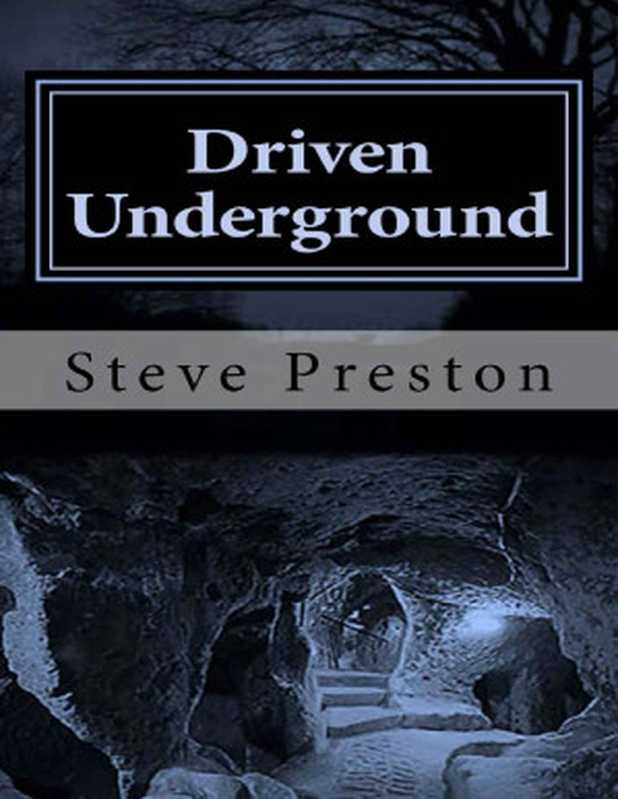 Driven Underground（Steve Preston [Preston， Steve]）（2015）