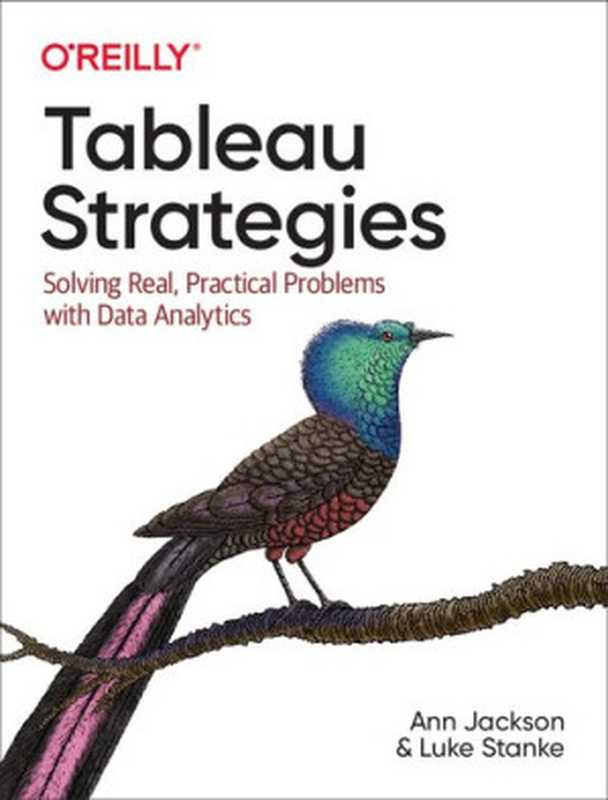 Tableau Strategies： Solving Real， Practical Problems with Data Analytics（Ann Jackson， Luke Stanke）（O