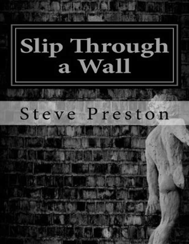 Slip Through a Wall（Steve Preston [Preston， Steve]）（2015）