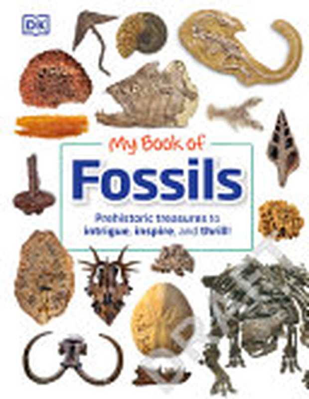 My Book of Fossils： A fact-filled guide to prehistoric life（DORLING KINDERSLEY LTD.）（DK Children 2022）