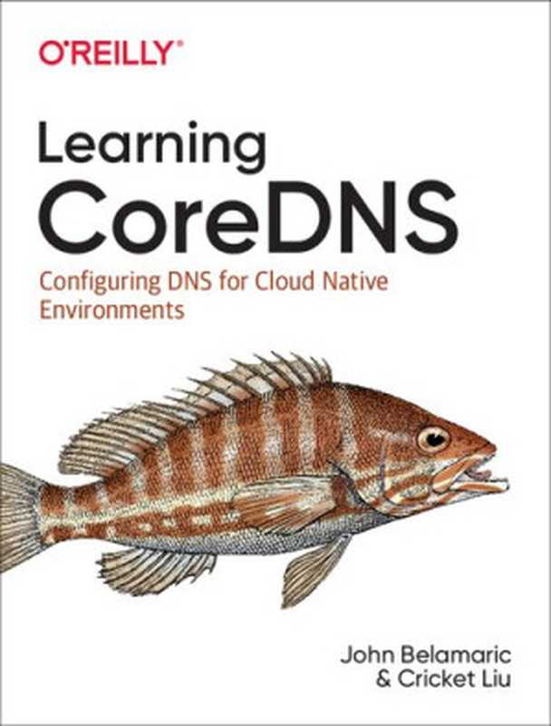 Learning CoreDNS： Configuring DNS for Cloud Native Environments（John Belamaric， Cricket Liu）（O