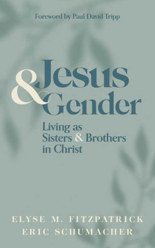 Jesus and Gender： Living as Sisters and Brothers in Christ（Fitzpatrick， Elyse M. & Schumacher， Eric）（Kirkdale Press 2022）