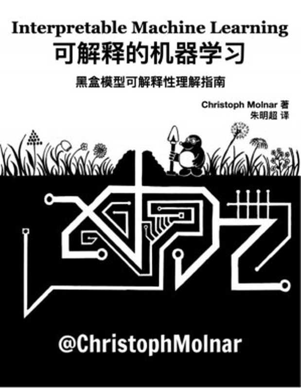 可解释的机器学习【纯文本】（Christoph Molner等；朱明超译）（电子工业出版社 2021）