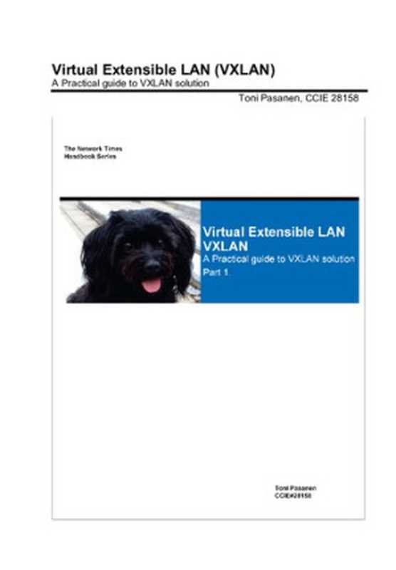 Virtual Extensible LAN (VXLAN)： A Practical guide to VXLAN solution（Toni Pasanen）（2019）