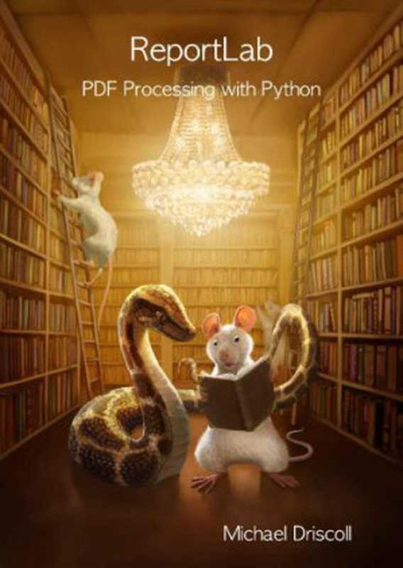 ReportLab： PDF Processing with Python（Michael Driscoll）（leanpub.com 2018）