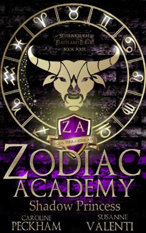 Shadow Princess (Zodiac Academy #4)（Caroline Peckham， Susanne Valenti）（Independently 2020）