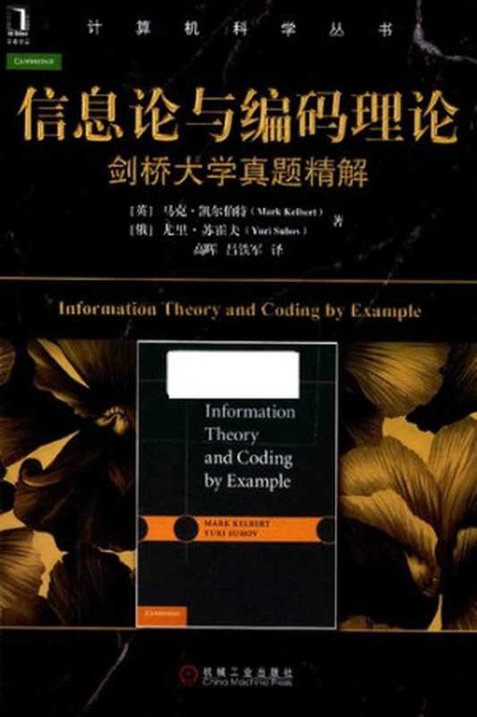 信息论与编码理论： 剑桥大学真题精解（[英] 马克·凯尔伯特; [俄] 尤里·苏霍夫）（机械工业出版社 2017）