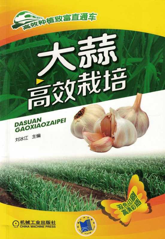 大蒜高效栽培.pdf（刘冰江）（机械工业出版社 2017）