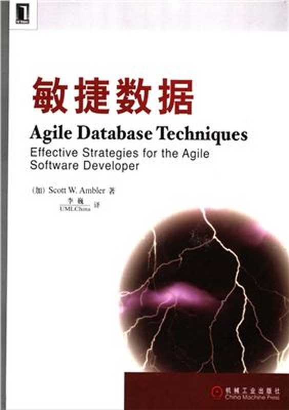 Agile Database Techniques  Effective Strategies for the Agile Software Develop 敏捷数据（Амблер С. Ambler S.）