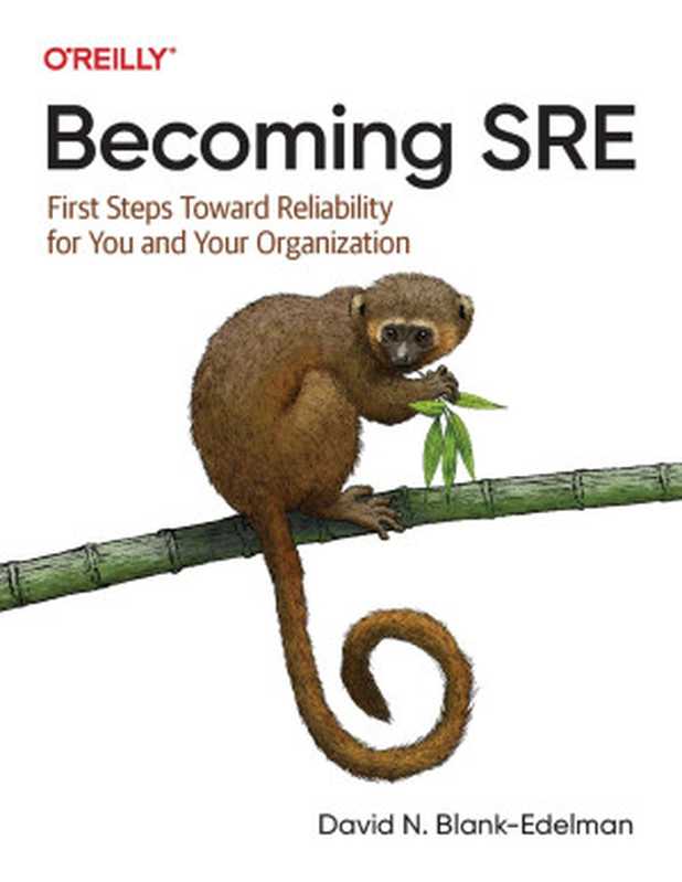 Becoming SRE： First Steps Toward Reliability for You and Your Organization（David N. Blank-Edelman）（O