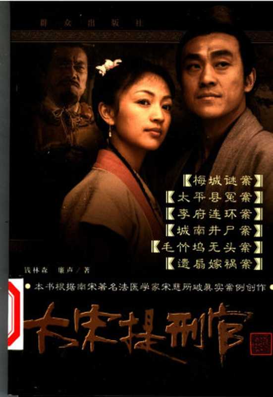 大宋提刑官（钱林森， 廉声）（群众出版社 2005）