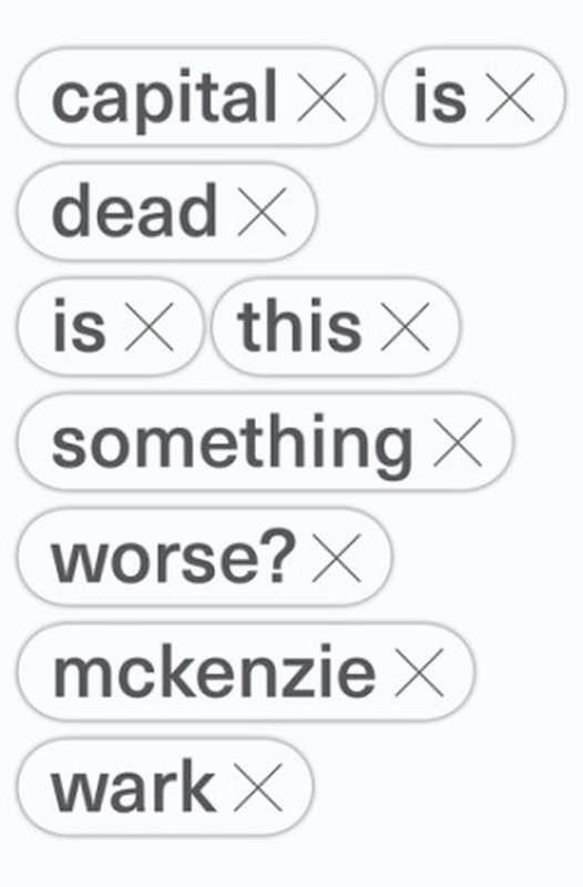 Capital is Dead： Is This Something Worse （Mckenzie Wark）（Verso Books 2019）