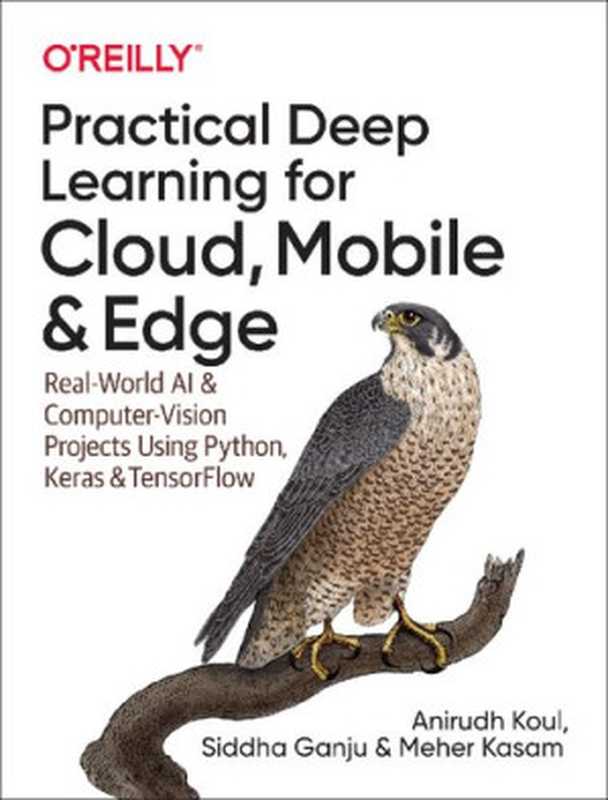 Practical Deep Learning for Cloud， Mobile， and Edge： Real-World AI & Computer-Vision Projects Using Python， Keras & TensorFlow（Anirudh Koul， Siddha Ganju， Meher Kasam）（O