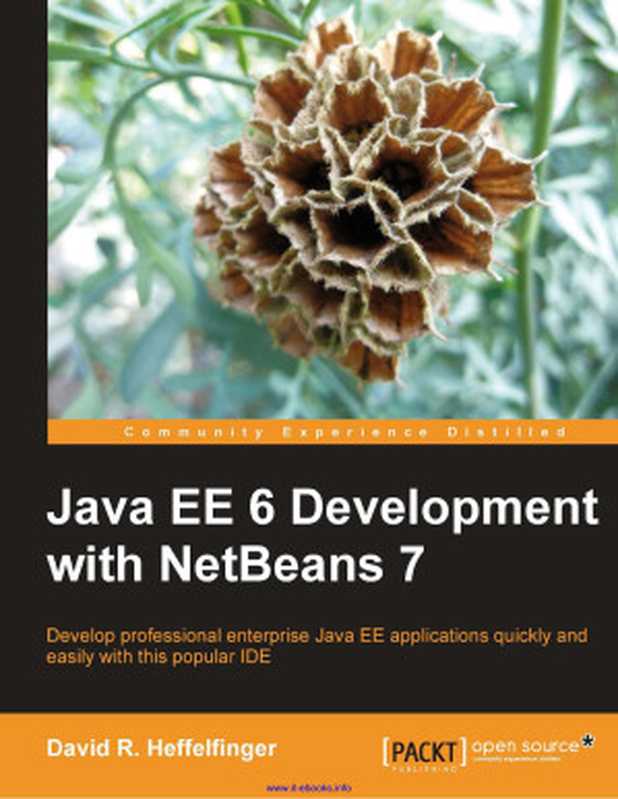 Java EE 6 Development with NetBeans 7（David R. Heffelfinger）（Packt Publishing 2011）