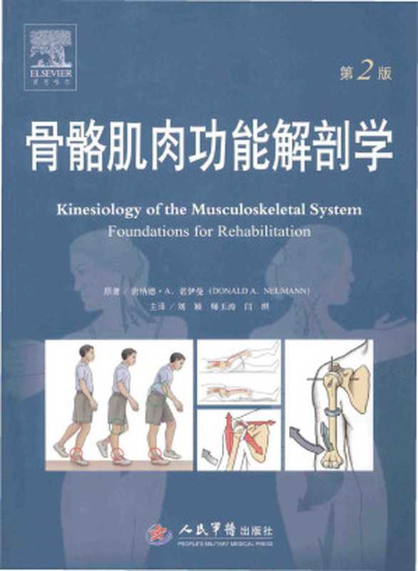 骨骼肌肉功能解剖学（第2版）（Donald A. Neumann）（人民军医出版社 2002）