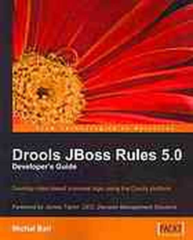 Drools JBoss Rules 5.0 developer