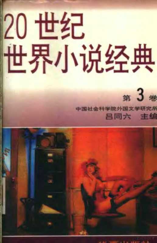 20世纪世界小说经典 第3卷（吕同六主编）（华夏出版社 1995）