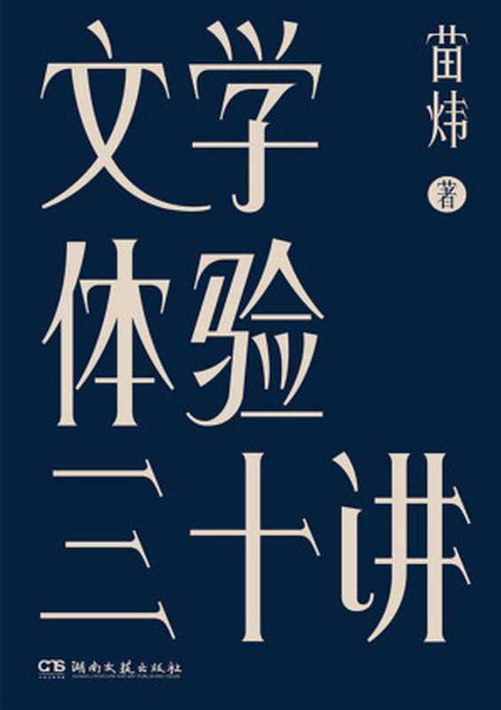 文学体验三十讲【三十个文学之夜，一剂心灵解药，一本书读懂数十部外国文学经典！李敬泽、毛尖、王小峰等诚挚推荐】浦睿文化出品（苗炜 [苗炜]）（湖南文艺出版社 2020）